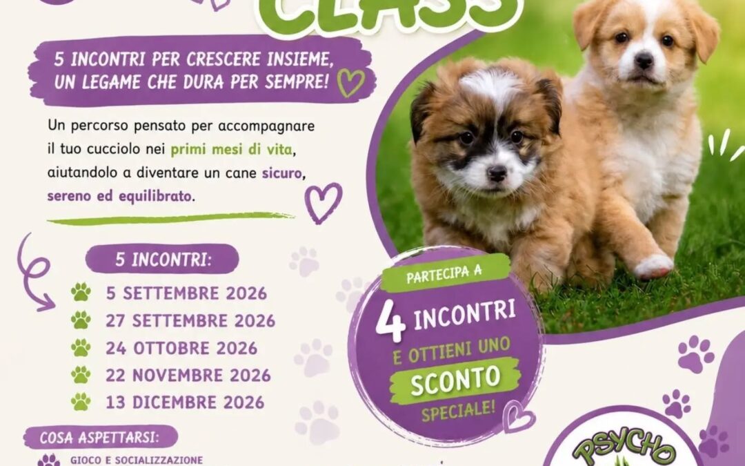 Lezioni Educazione Puppy Class – 2-5 mesi