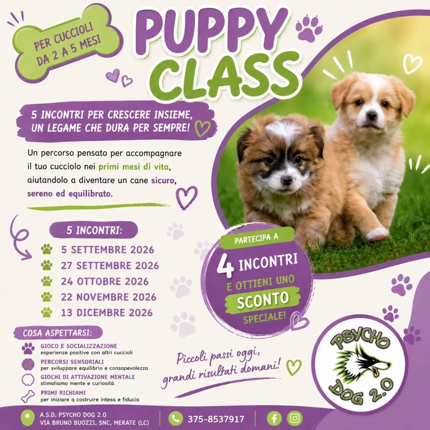 puppy-class puppy-class