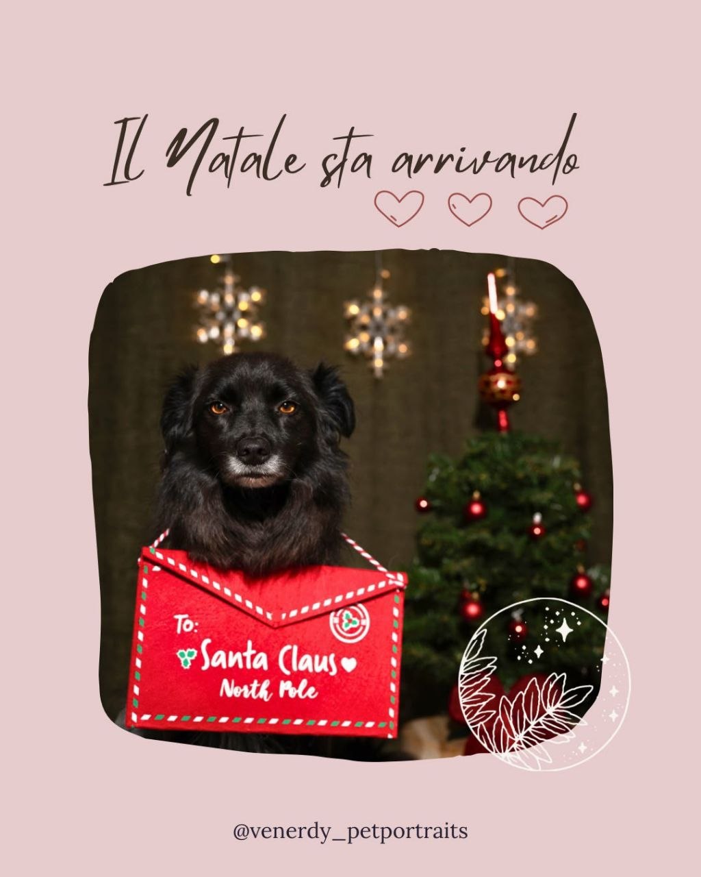 servizio fotografico Natale